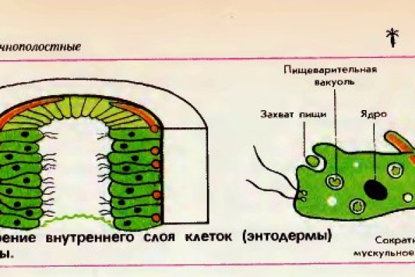 Оригинальный сайт кракен